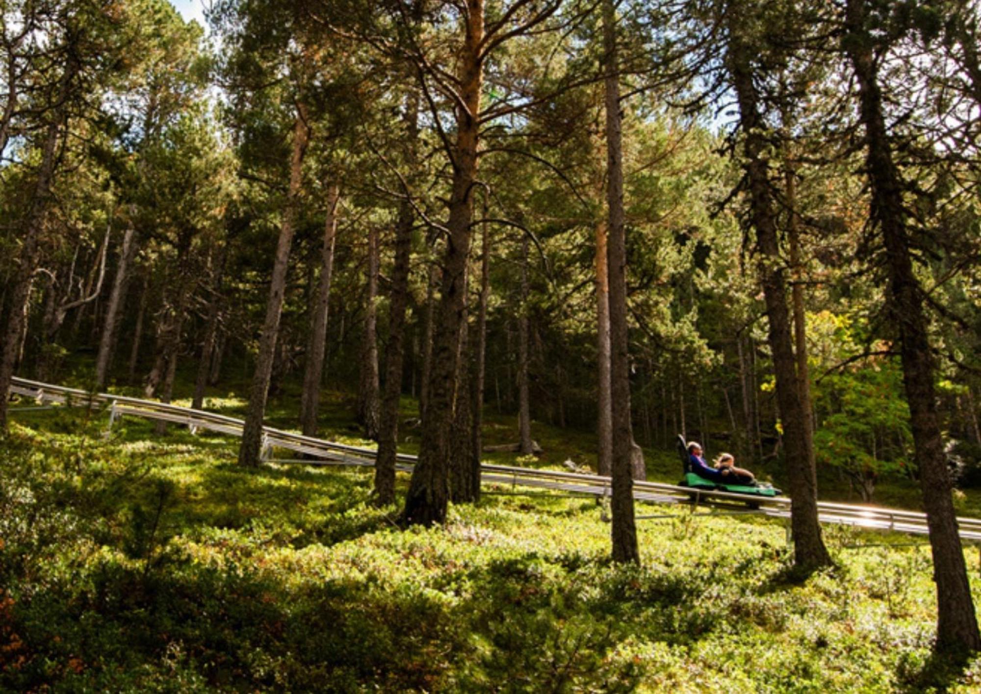 Apartamento Moderno El Bosque En Arinsal Luaran gambar